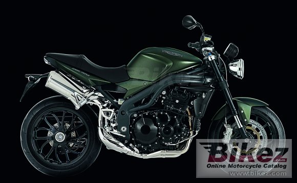 2010 Triumph Speed Triple