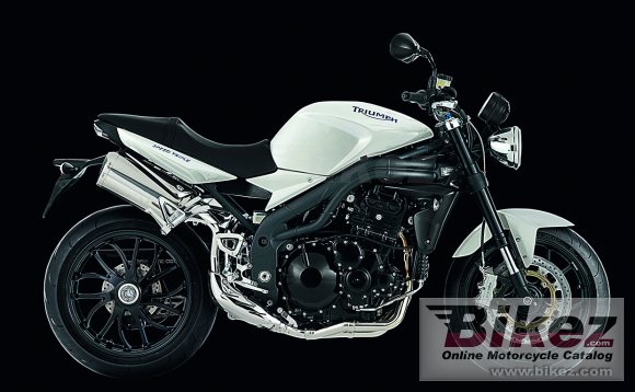 2010 Triumph Speed Triple