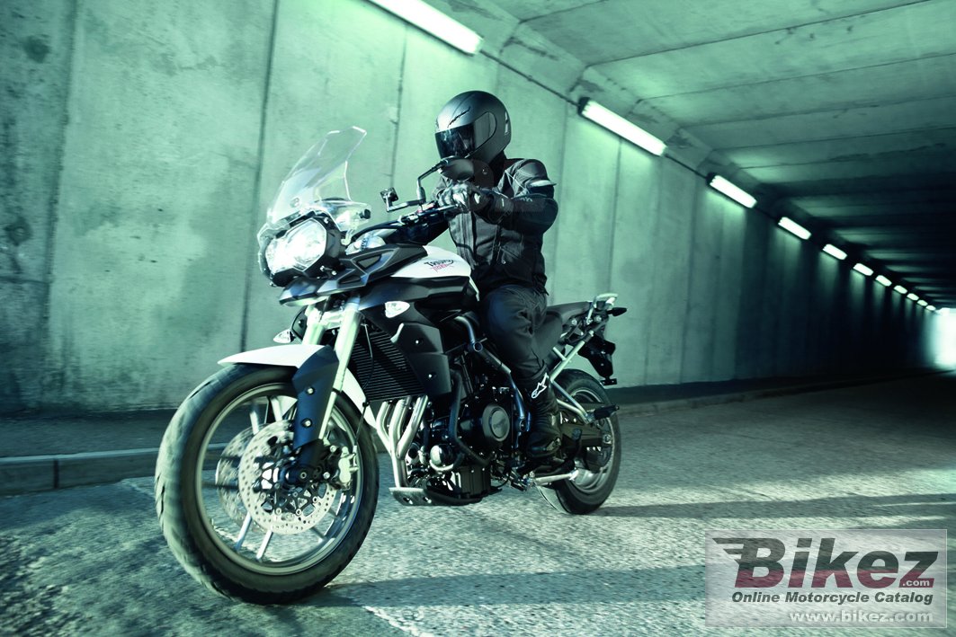 Triumph New Tiger 800