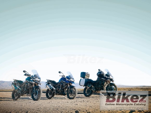 2013 Triumph Tiger Explorer