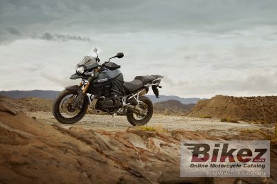 2013 Triumph Tiger Explorer XC