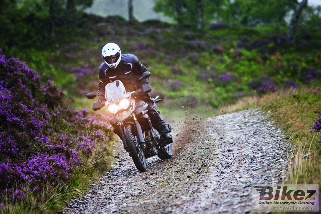 Triumph Tiger 800 XC