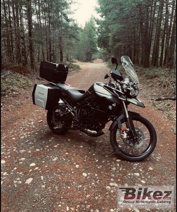 2014 Triumph Tiger 800 XC