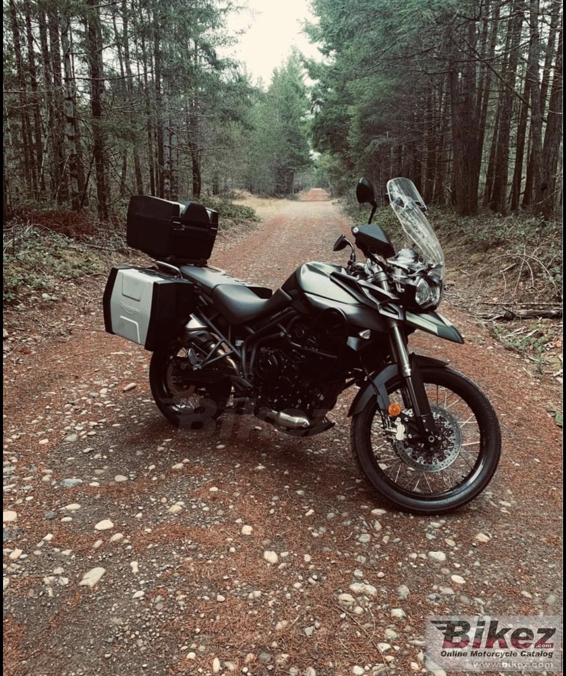 Triumph Tiger 800 XC