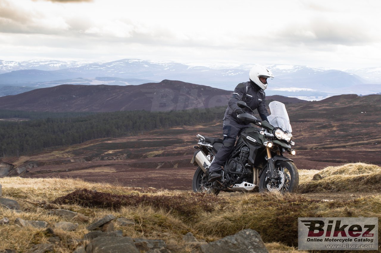 Triumph Tiger Explorer XC