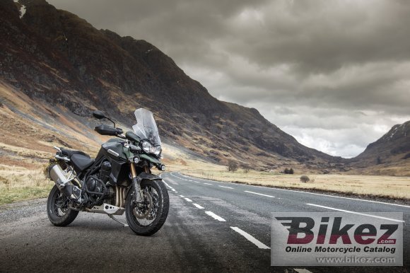 2014 Triumph Tiger Explorer XC