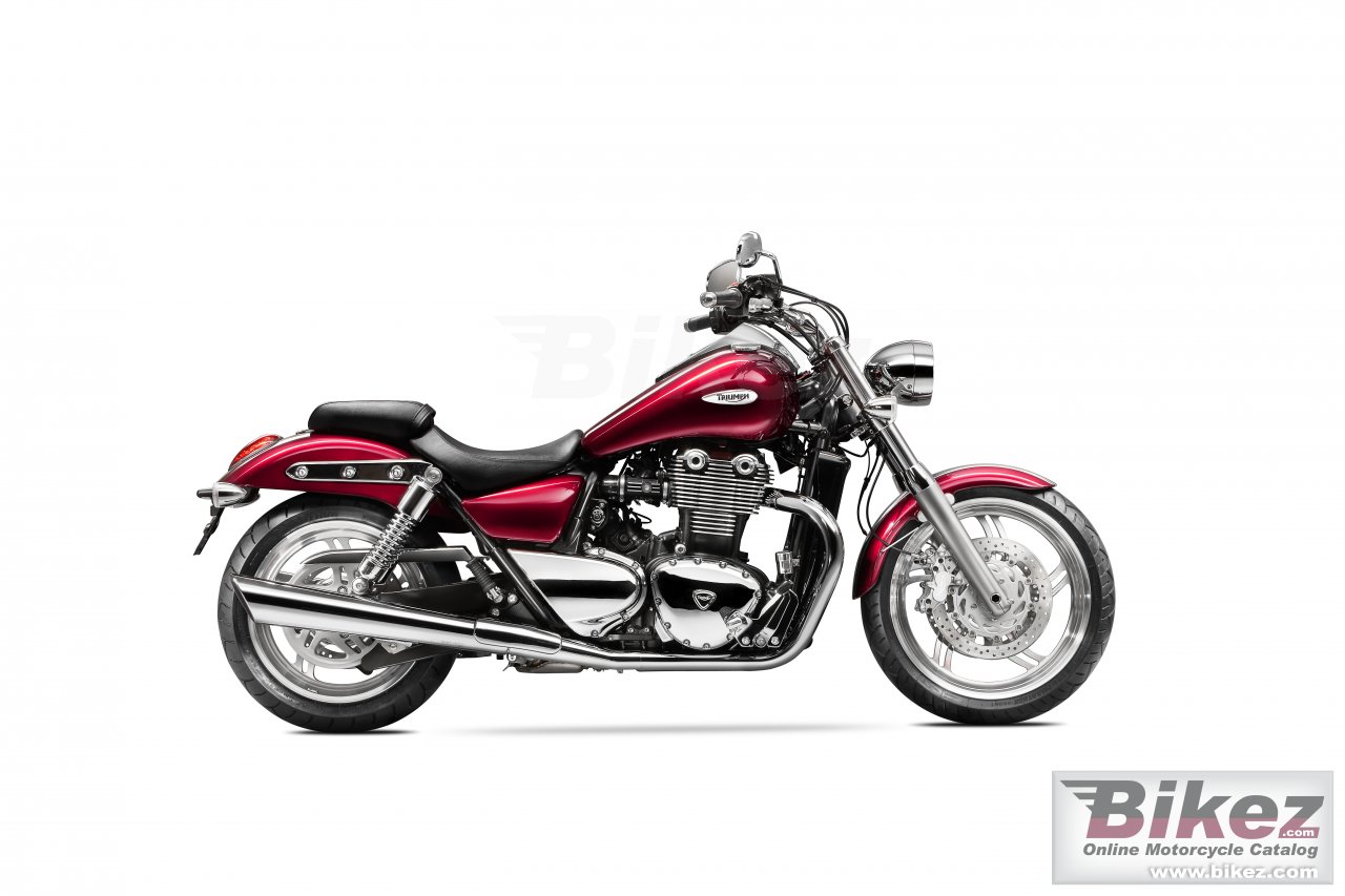 Triumph Thunderbird