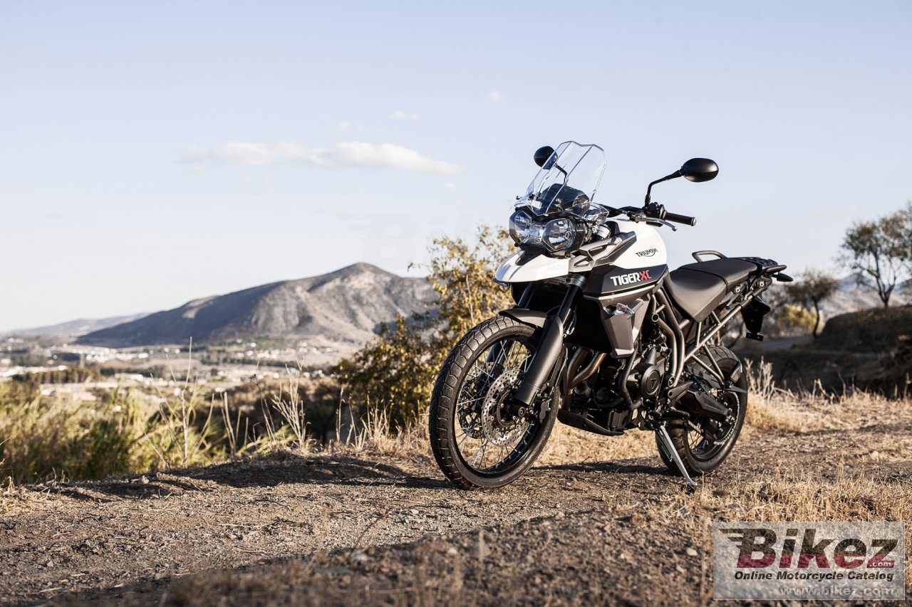 Triumph Tiger 800 XC
