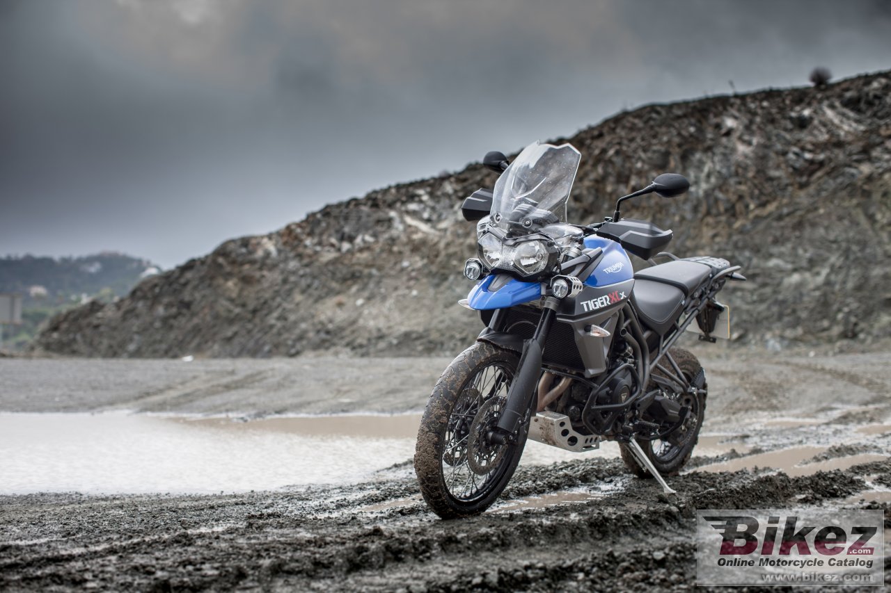 Triumph Tiger 800 XCX