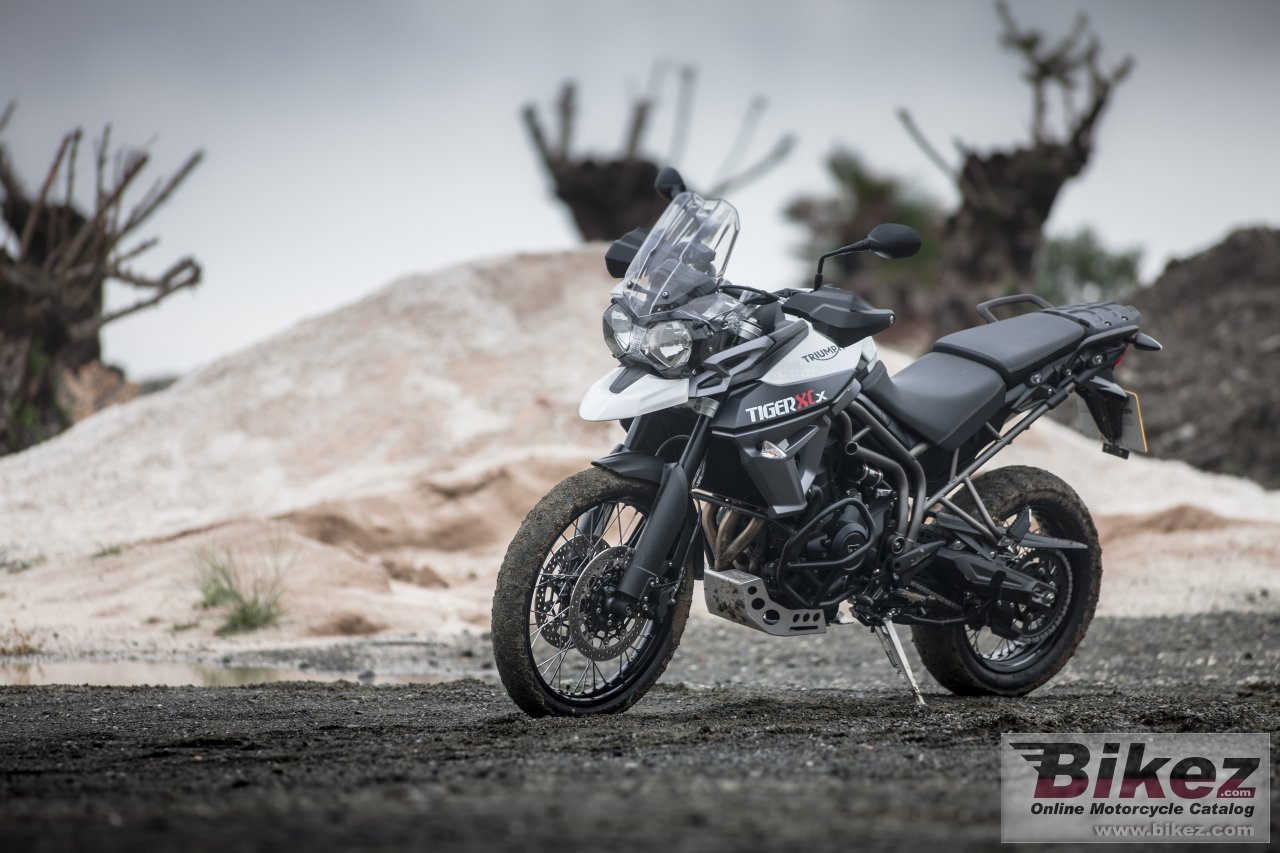 Triumph Tiger 800 XCX