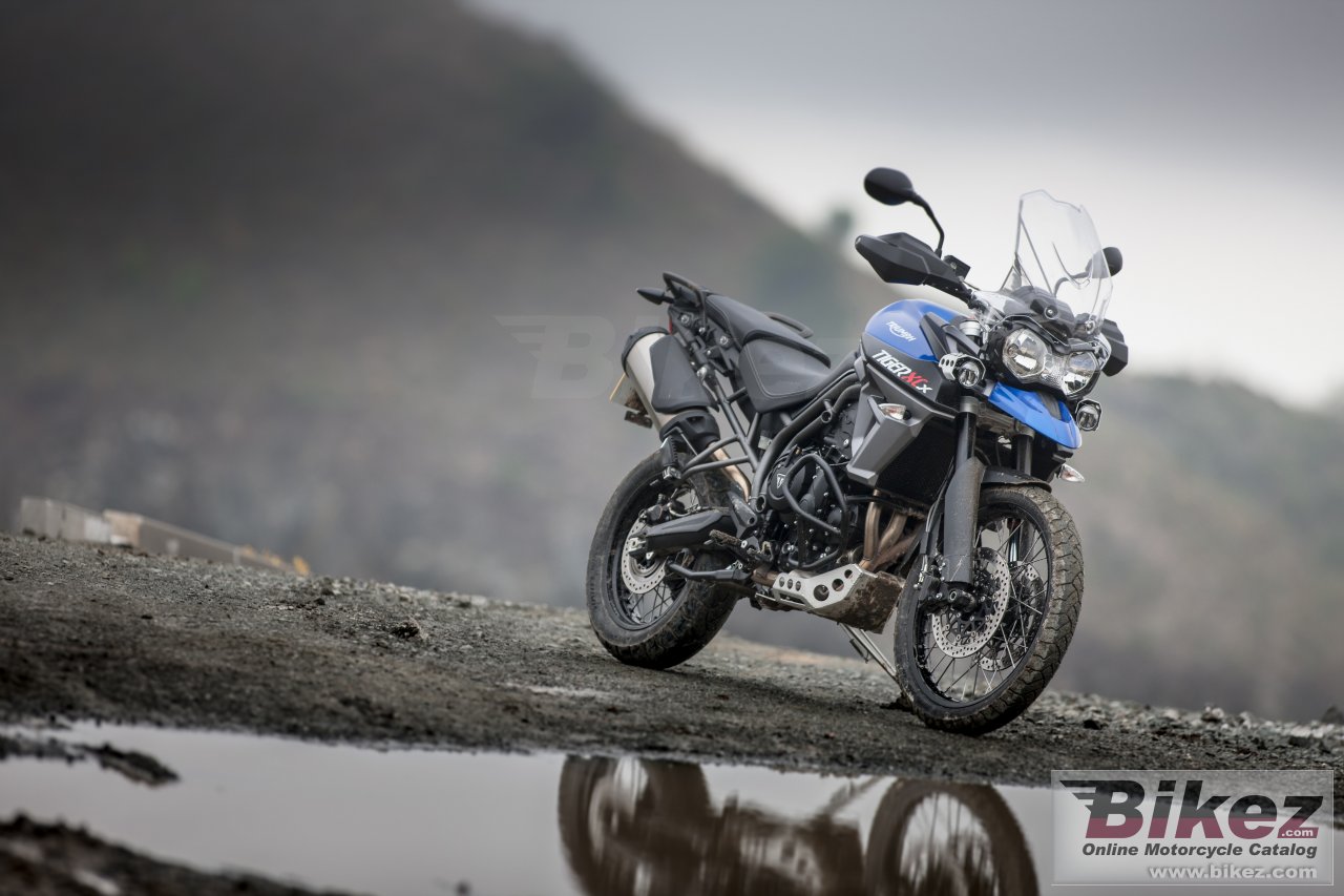 Triumph Tiger 800 XCX