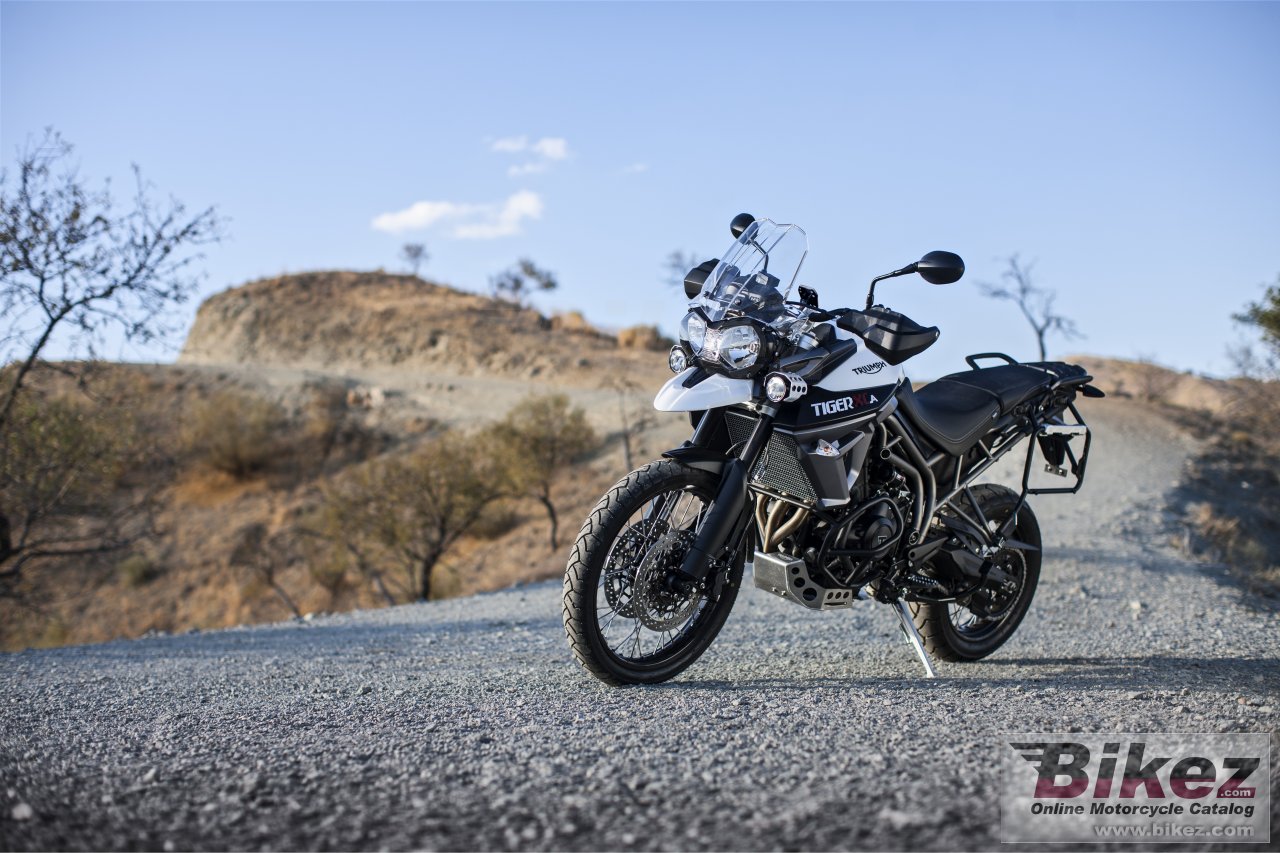 Triumph Tiger 800 XCa