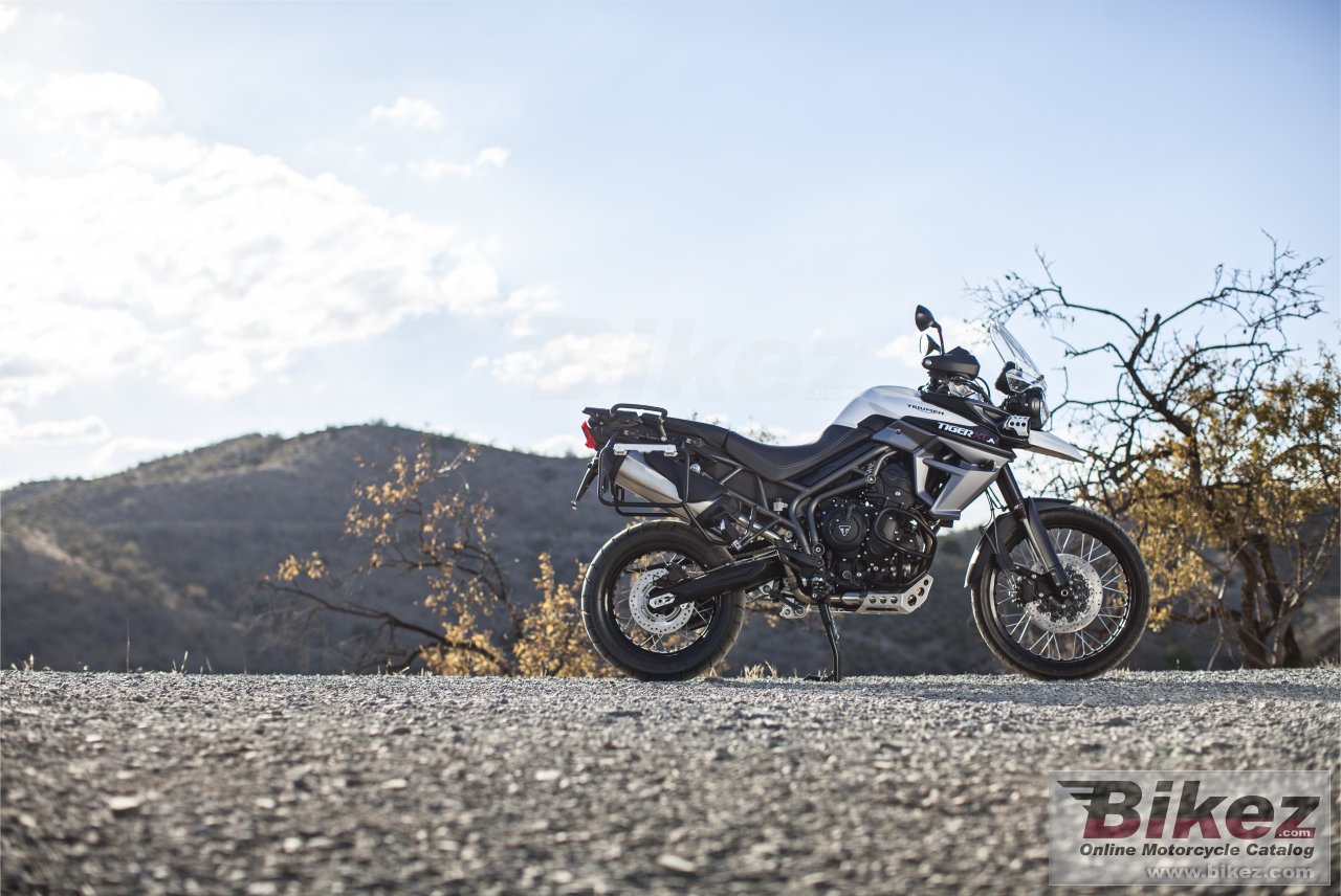 Triumph Tiger 800 XCa