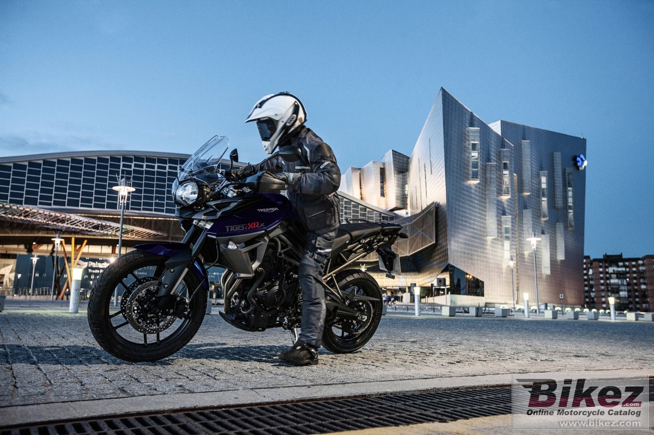 Triumph Tiger 800 XRX