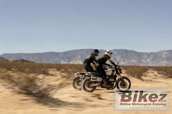 2019 Triumph Scrambler 1200XE