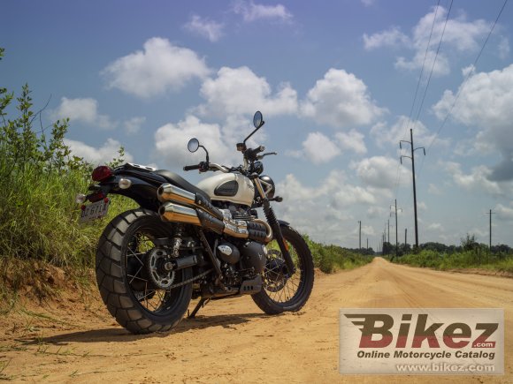 2019 Triumph Street Scrambler