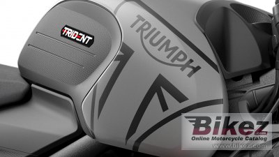 2021 Triumph Trident 660
