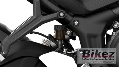 2021 Triumph Trident 660