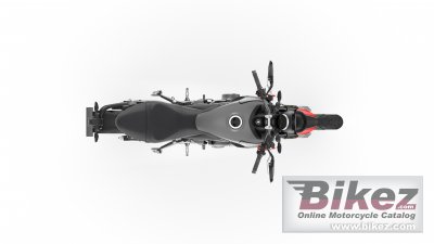 2021 Triumph Trident 660