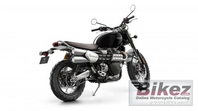 2021 Triumph Scrambler 1200 Steve Mcqueen