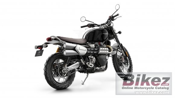 2021 Triumph Scrambler 1200 Steve Mcqueen