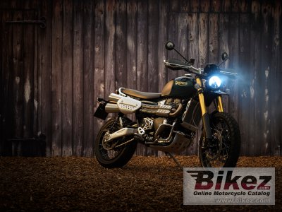 2021 Triumph Scrambler 1200 Steve Mcqueen