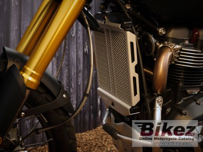 2021 Triumph Scrambler 1200 Steve Mcqueen
