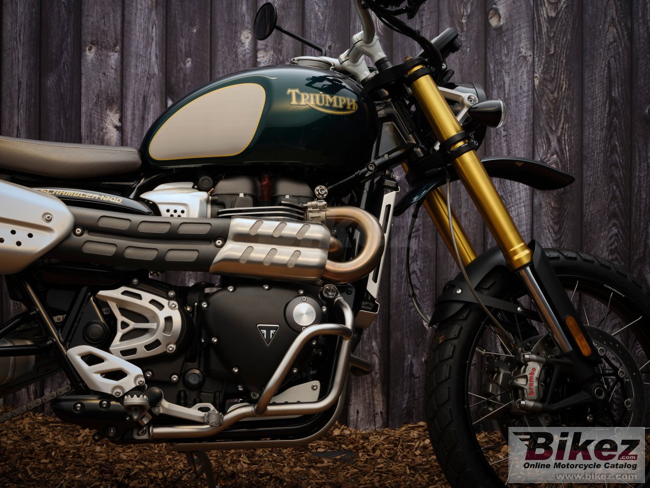 Triumph Scrambler 1200 Steve Mcqueen