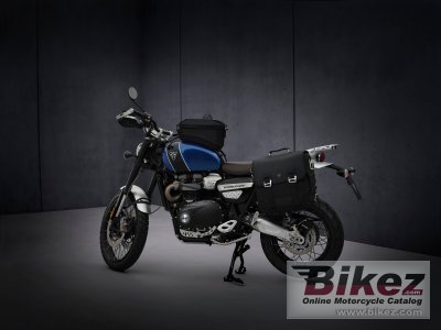 2021 Triumph Scrambler 1200 Steve Mcqueen