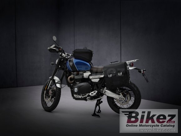 2021 Triumph Scrambler 1200 Steve Mcqueen