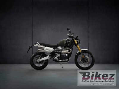 2021 Triumph Scrambler 1200 Steve Mcqueen