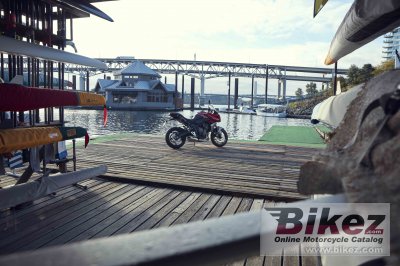 2022 Triumph Tiger Sport 660