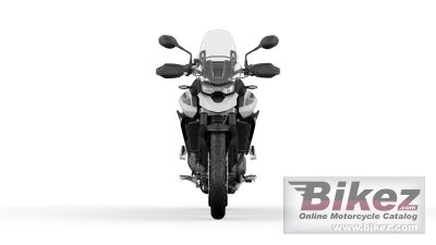 2023 Triumph Tiger 900 GT Low