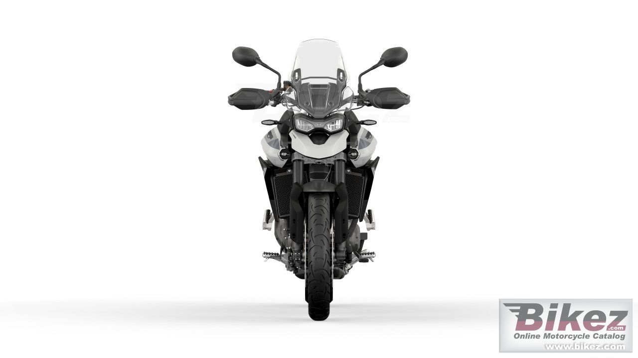 Triumph Tiger 900 GT Pro