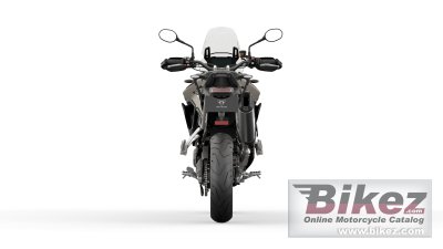 2023 Triumph Tiger 900 Rally