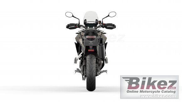 2023 Triumph Tiger 900 Rally