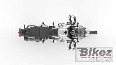 2023 Triumph Tiger 900 Rally Pro