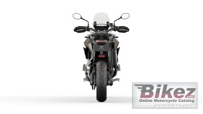 2023 Triumph Tiger 900 Rally Pro
