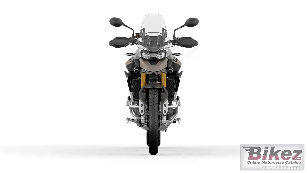 Triumph Tiger 900 Rally Pro