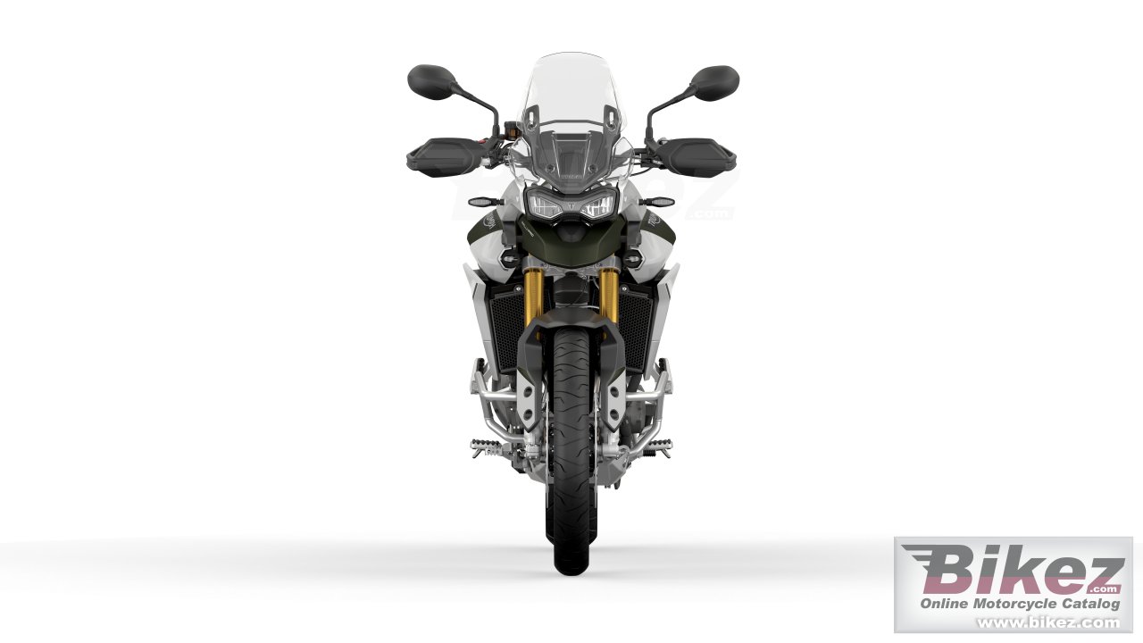 Triumph Tiger 900 Rally Pro