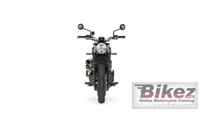2023 Triumph Scrambler 900