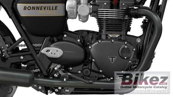 2023 Triumph Bonneville T120 Black Gold Line