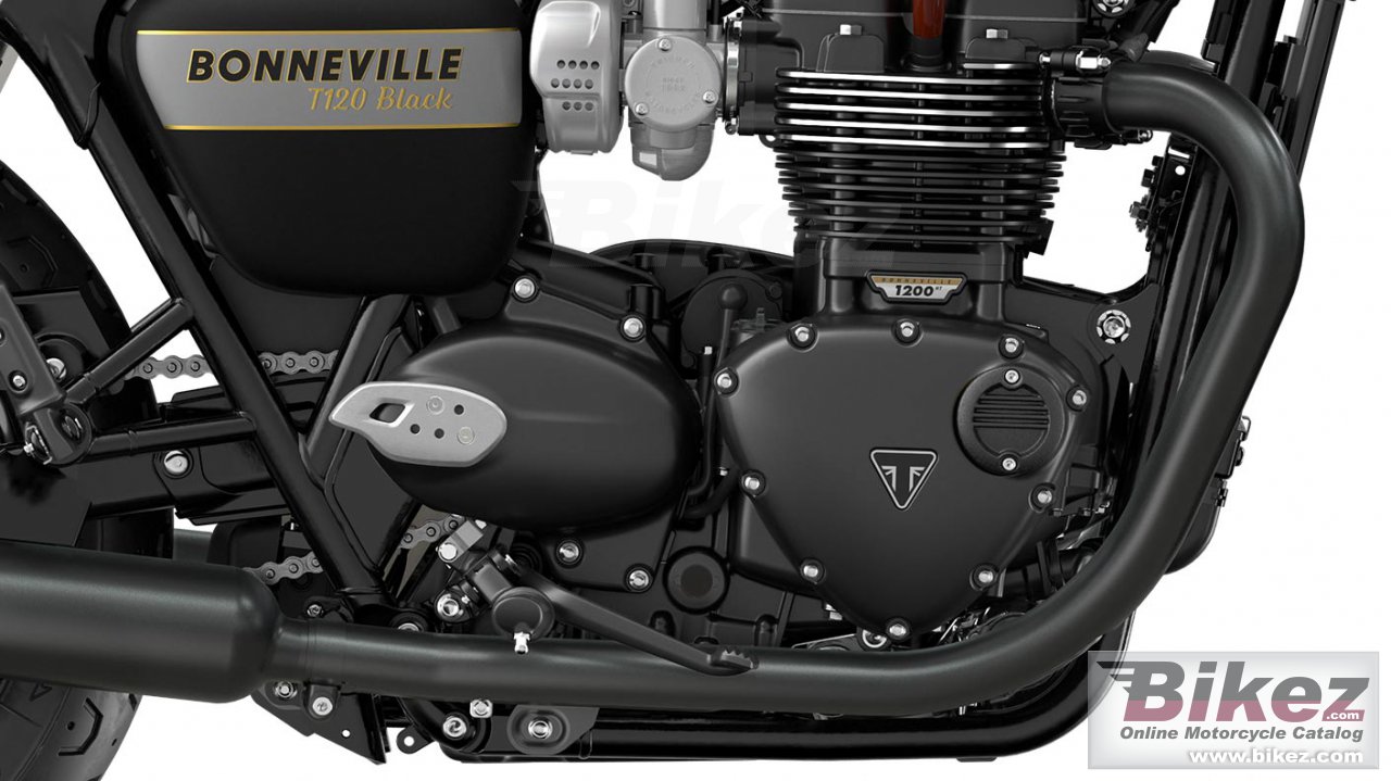 Triumph Bonneville T120 Black Gold Line