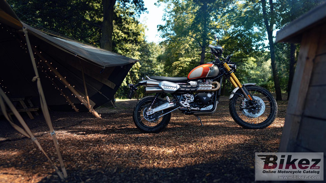 Triumph Scrambler 1200 XE Gold Line