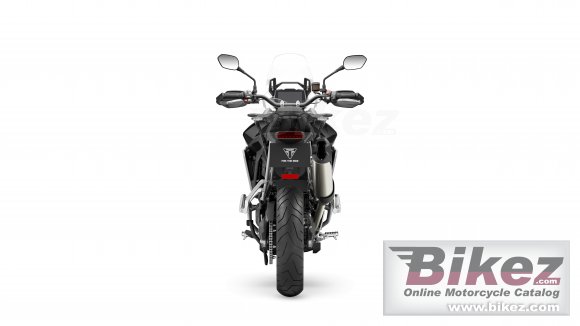 2024 Triumph Tiger 900 Rally Pro