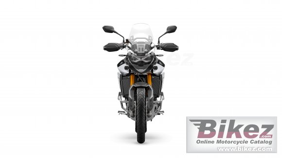 2024 Triumph Tiger 900 Rally Pro