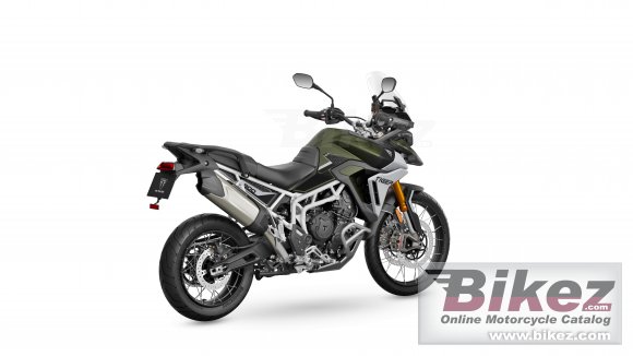 2024 Triumph Tiger 900 Rally Pro