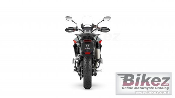 2024 Triumph Tiger 900 Rally Pro