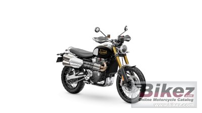 2025 Triumph Scrambler 1200 XE Icon Edition