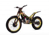 2021 TRS Gold 250